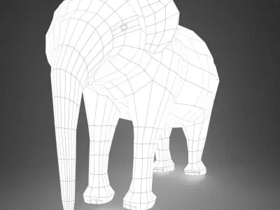 ELEPHANT - BASE MODEL WITH SKELETON 3D model