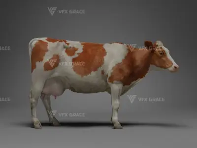 Holstein Female Animation - VFX Grace 3D model