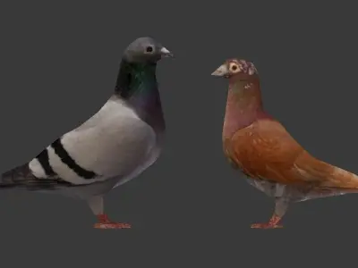 Two Pigeons Low-poly 3D model