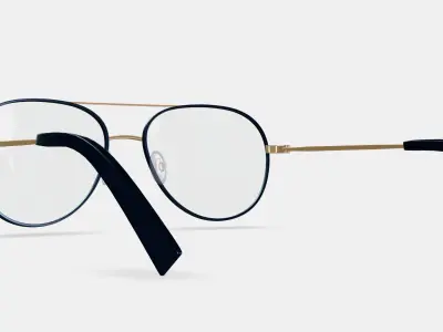 York Eyeglasses in Brushed Ink with Polished Gold 3D model