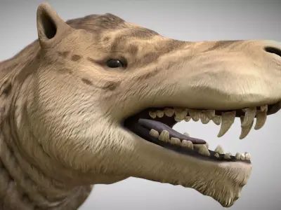 Andrewsarchus mongoliensis  Low-poly 3D model