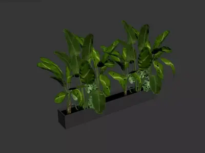Decor Plant Free 3D print model