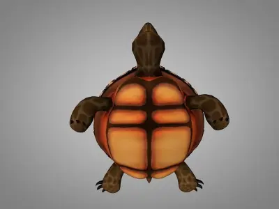 Turtle Low-poly 3D model