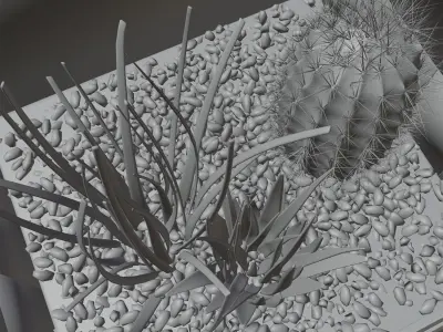 Cactus in a glass vase HG2 3D model