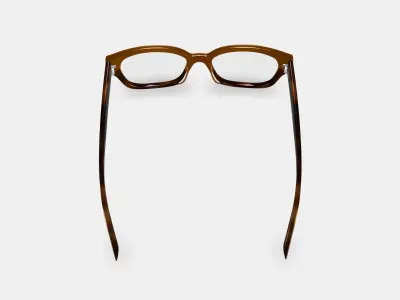 Wentworth Eyeglasses in Saddle Tortoise Fade Low-poly 3D model