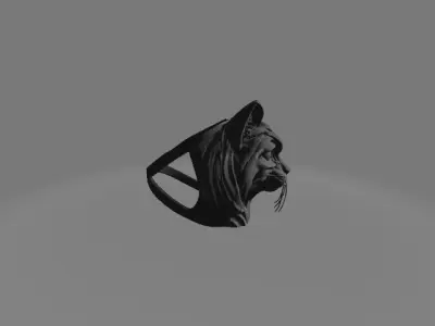 Stylized Split Cat Head   Sculpture  Mask  Ring Set 3D print model