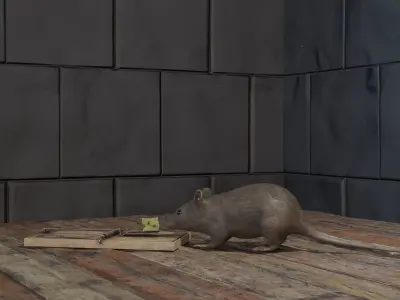 Mouse rat Plus Mousetrap Low-poly 3D model