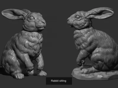 Rabbit and hare collection