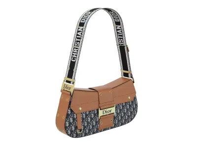 Dior Street Chic Bag Brown Black Print 3D model