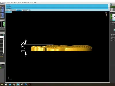 Luxury Feng Shui Tiger Jewelry 3D Model  3797 3D print model