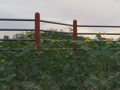 Simple Fence Free low-poly 3D model