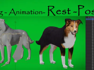 Male Collie Dog Low-poly 3D model