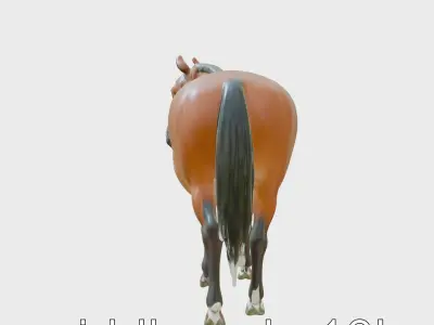Bay Warmblood Horse Model with White Markings Low-poly 3D model