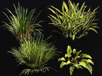 Meadow Lawn Grassland Set 005 3D model