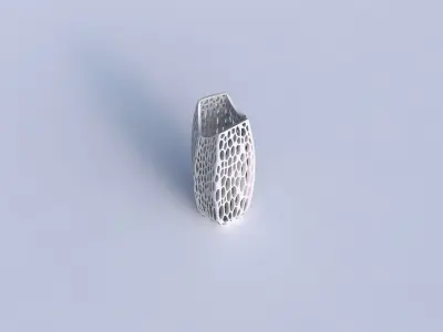 Vase double arc hexagon with organic lattice and twisted thic... 3D print model