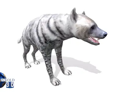 White Hyena Rigged Animated Lowpoly 3D Model Low-poly 3D model