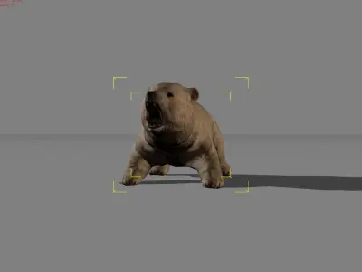 Baby Polar Bear Animal Low-poly 3D model