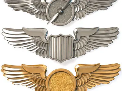 Wings badges 3D model