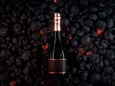 Wine bottle with coal 3D model