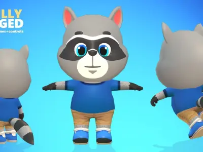 Raccoon Dog Animated Rigged Low-poly 3D model