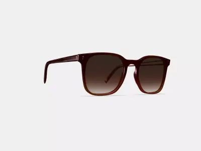 Rosie Sunglasses in Mulberry Tortoise Fade 3D model