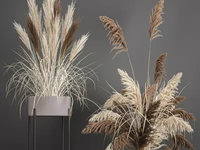 Pampas grass in a flowerpot for the interior 1061 3D model