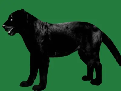 Black Panther Leopard 3D model