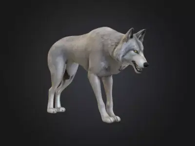 Alpha Wolf Low-poly 3D model