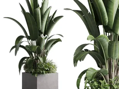 Concrete box plants on stand set plant concrete dirt vase 3D model