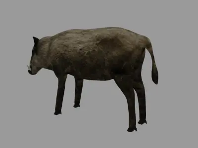Boar - Javali Low-poly 3D model