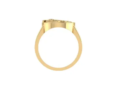 Panther Ring 3D print model