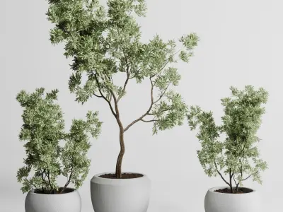 Collection indoor outdoor plant 288 plant tree 3D model