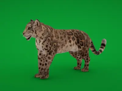 Snow Leopard Low-poly 3D model