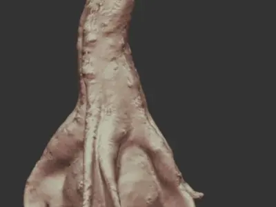 decoration pumpkin green with photogrammetry Free low-poly 3D model