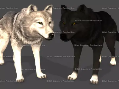 WOLF RIGGED ANIMATED 6 Low-poly 3D model