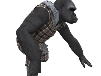 gorila with clothing  3D model