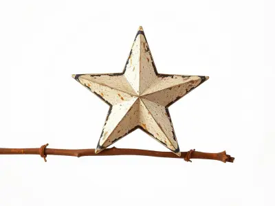 Rustic Metal Star and Twig Model Pack Low-poly 3D model