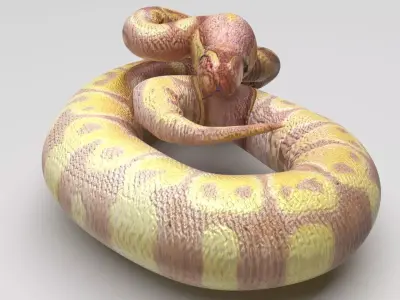 Banana Ball Python Snake 3D model