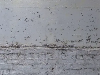 stucco 530 Texture