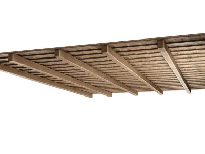 Wooden Ceiling V5  3D model