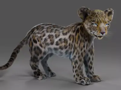 Fur Baby Jaguar Rigged in Blender Low-poly 3D model