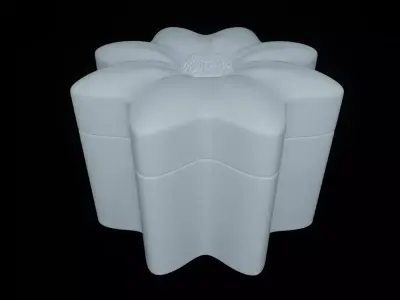 Flower Box 3D print model