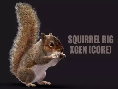 SQUIRREL RIG XGEN CORE 3D model