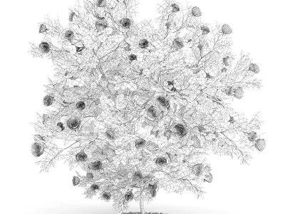 Red Rose Shrub 3D model