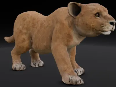 Lion Cub Animated 3D Model  Low-poly 3D model