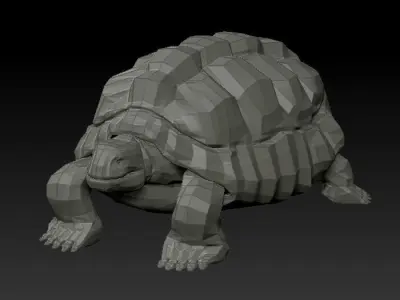 3D TURTLE - LOW POLY tortoise Low-poly 3D model