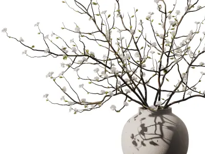 Dry Flower Branche Bouquet 3D model