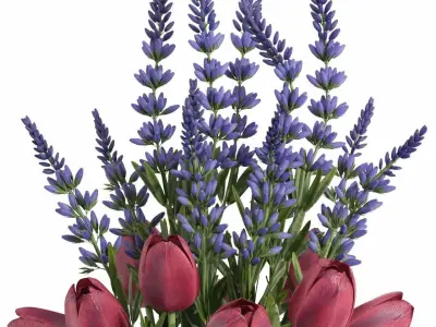bouquet set04 tulip flower 3D model