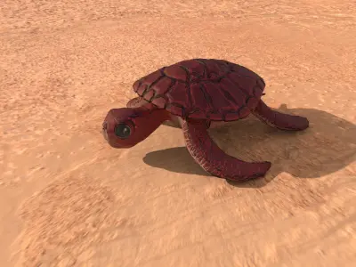 Stylized Turtle - Multiple Texture Options Low-poly 3D model