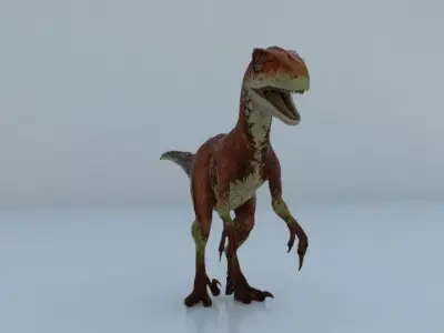 Atrociraptor dinosoure 3D model